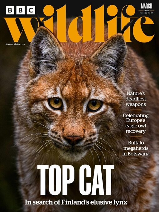 Title details for BBC Wildlife Magazine by Our Media Limited - Available
